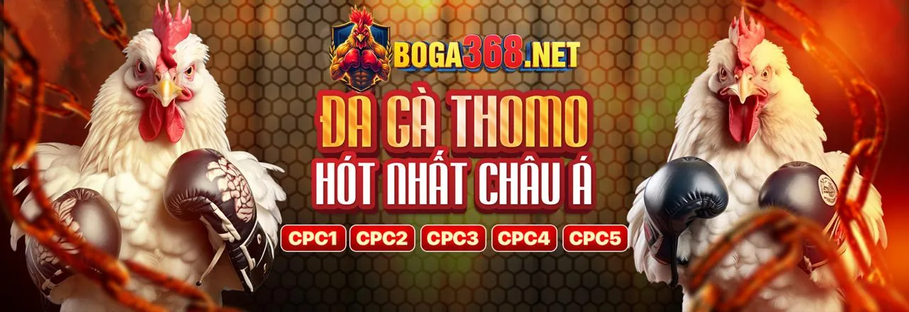 Giao diện thân thiện người dùng