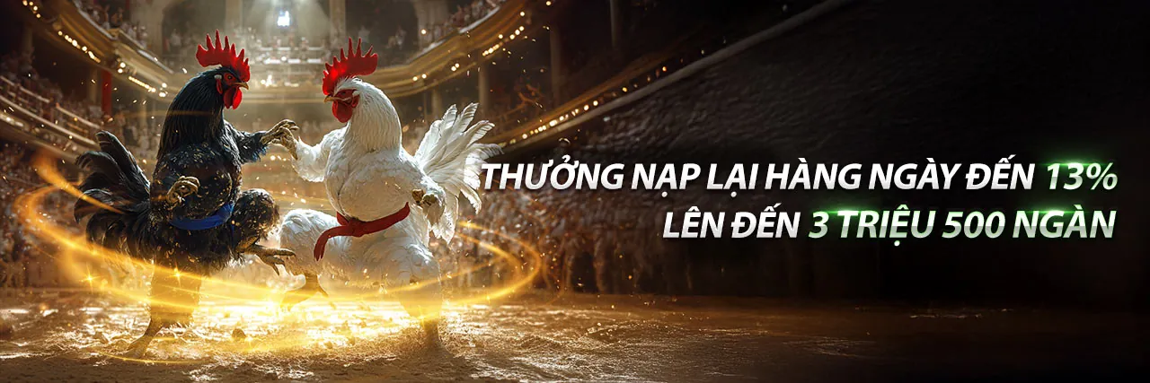 Sân vận động với người hâm mộ đang cổ vũ, biểu tượng của cá cược thể thao sôi động tại s666me khuyến mãi